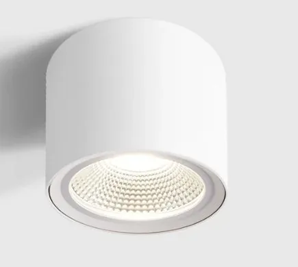 Lumibright Defay L02058 Surface Light