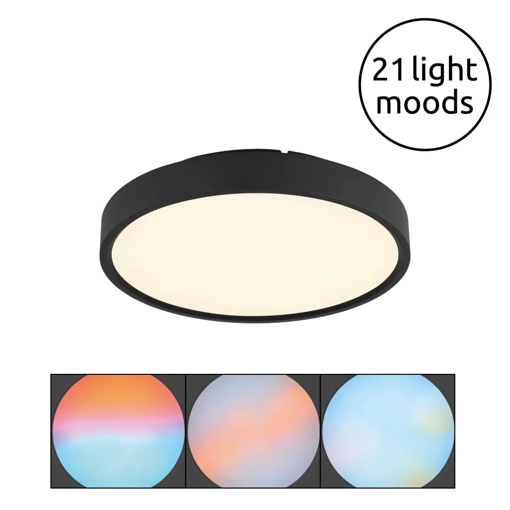 Globo JESS ceiling light - metal black matt - plastic opal