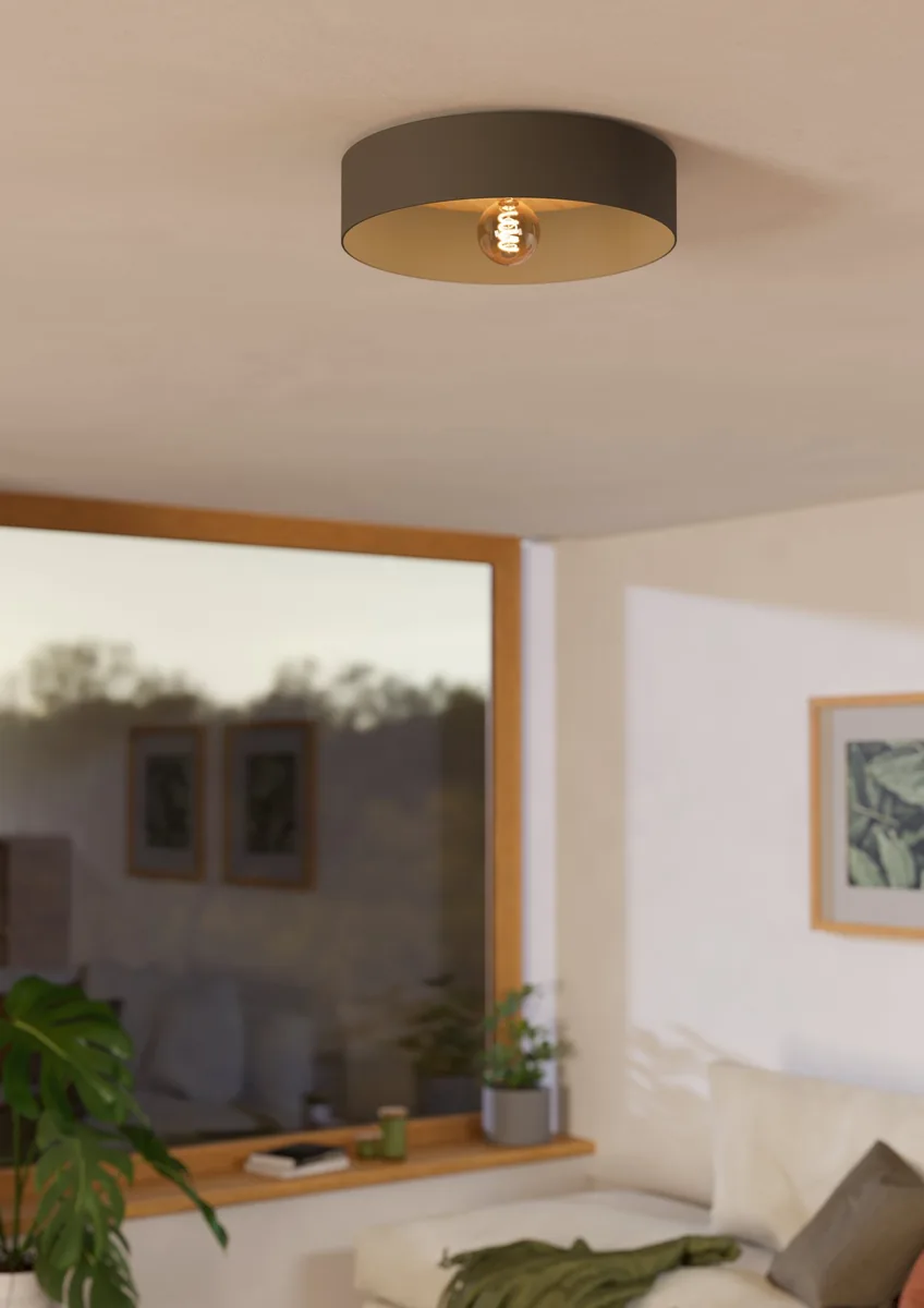 Eglo DUAIA ceiling light