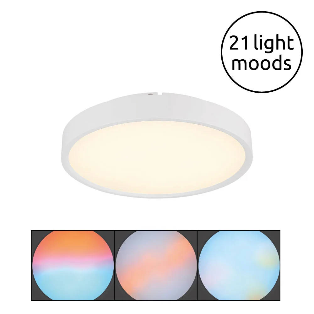 Globo JESS ceiling light - metal white matt - plastic opal