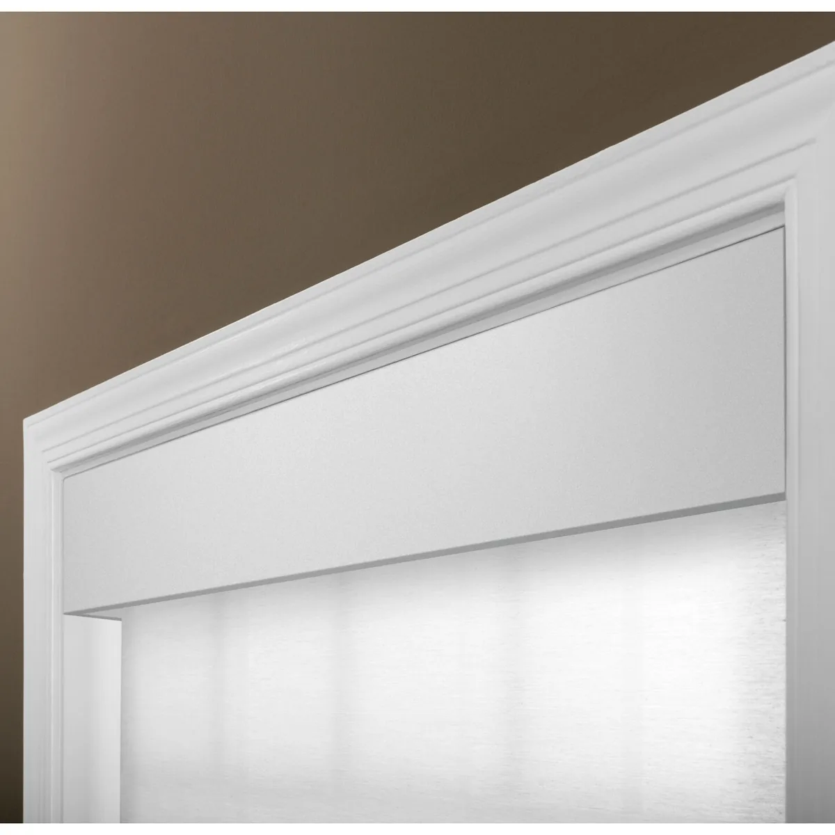 Lutron Triathlon Roller Shades - Metal Fascia, 12V Wired