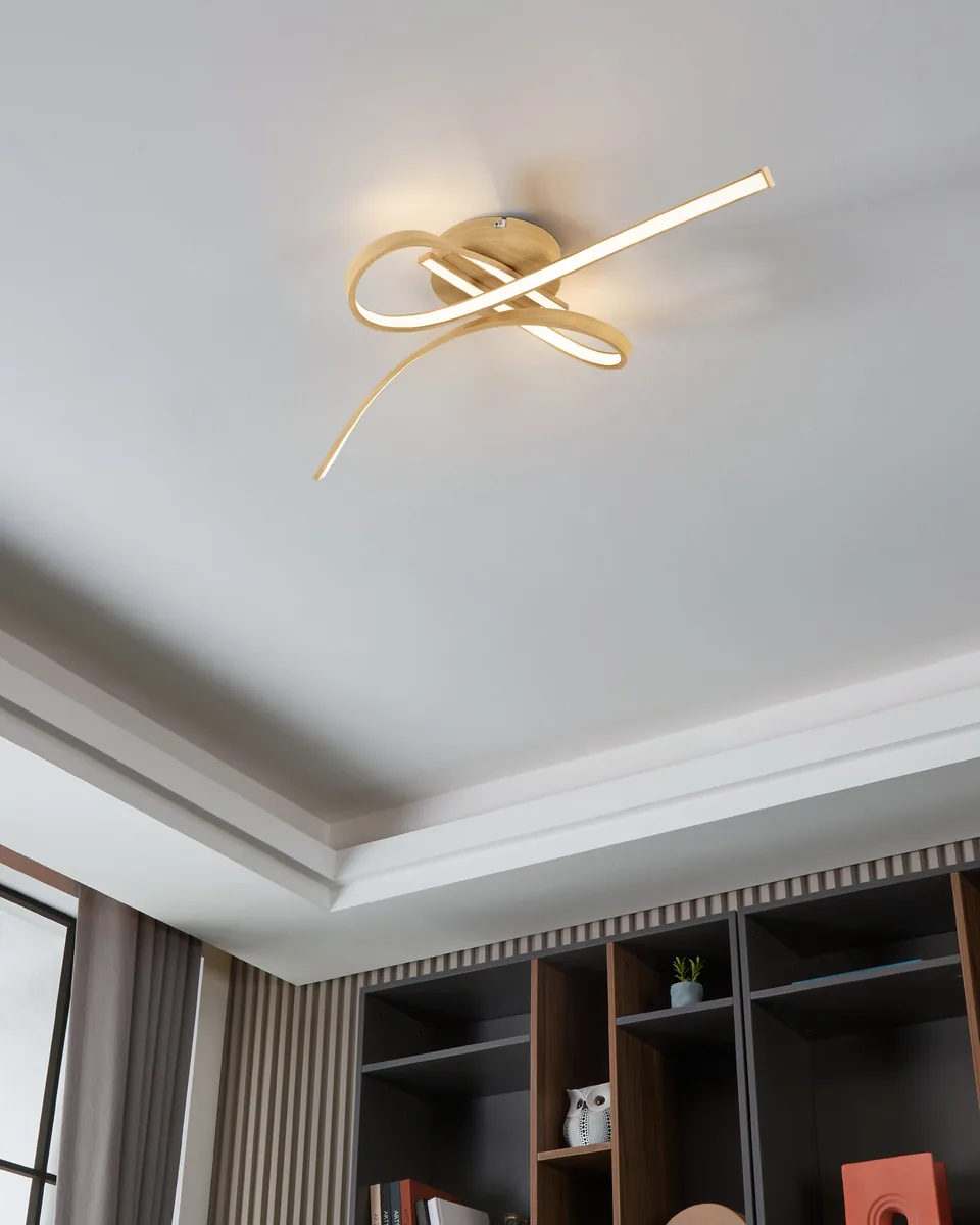 Eglo SELVINA 2 ceiling light