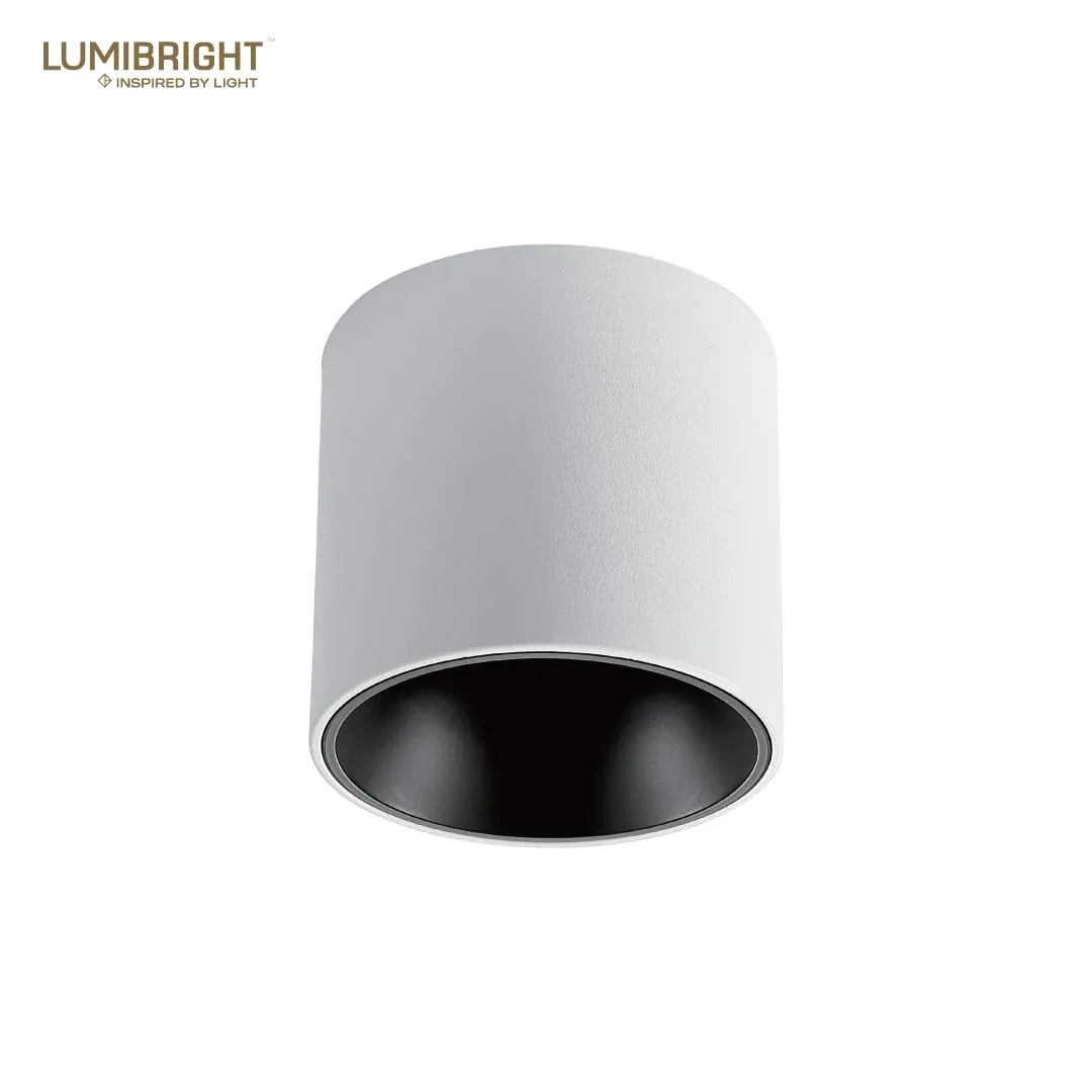 Lumibright Filon L02001 Surface Light 10W