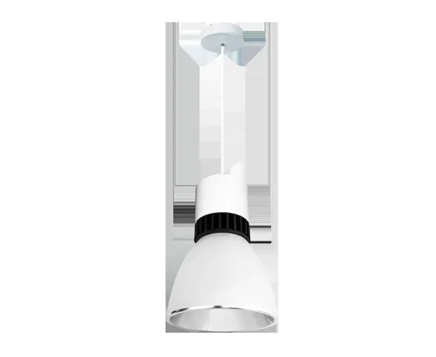 Lumibright LB5019 Decorative Pendant 30W