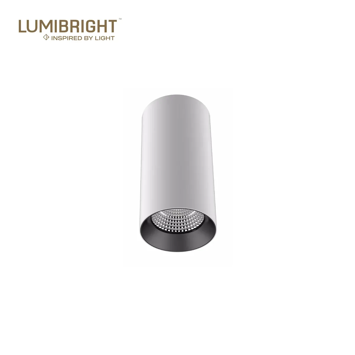 Lumibright Vaste L02016 Surface Light 25W