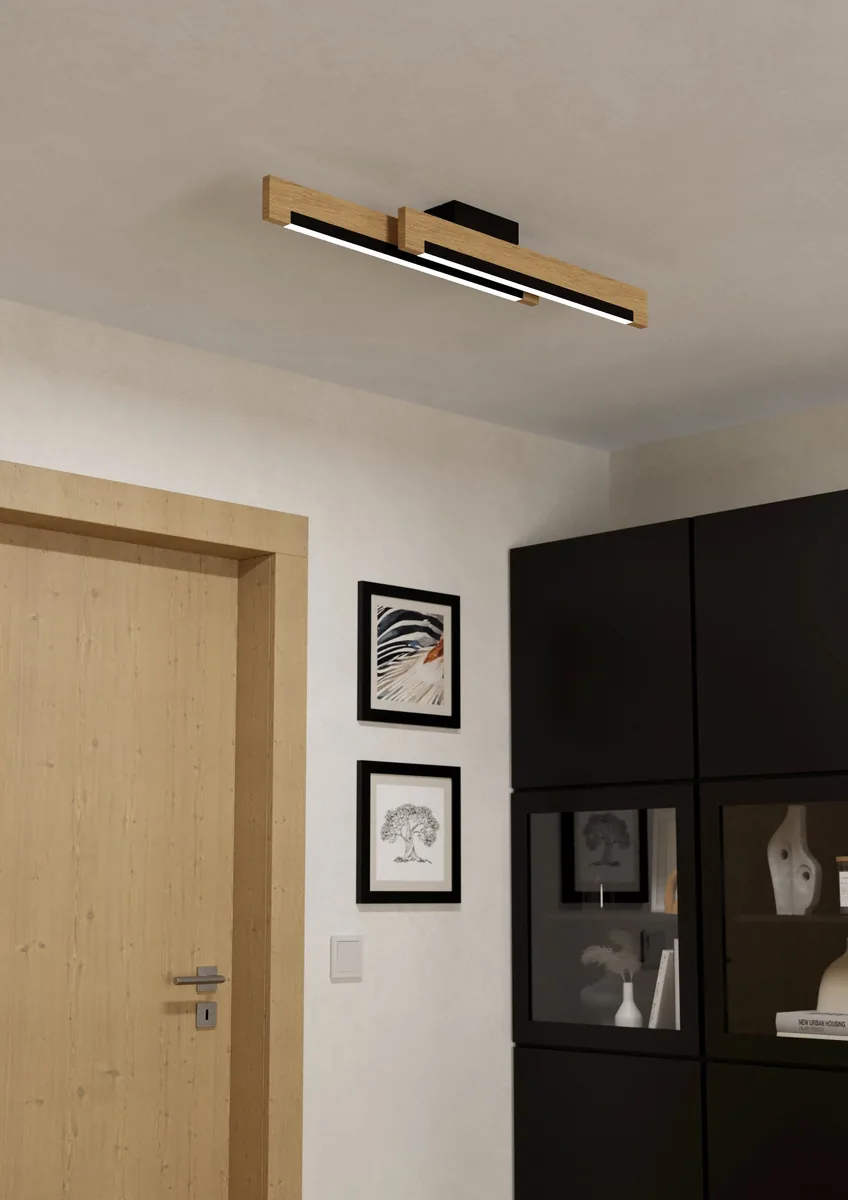 Eglo CAMACHO ceiling light