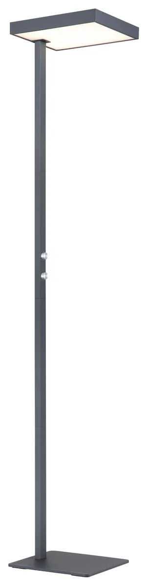 Globo BARKER Floor lamp - aluminium anthracite matt - plastic opal