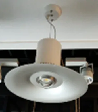 Lumibright LB5071 Decorative Pendant 42W