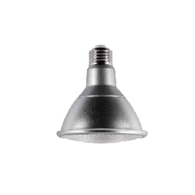 Lumibright FSL LED BULB PAR30A1 BLUE E27 LED Bulb 13W