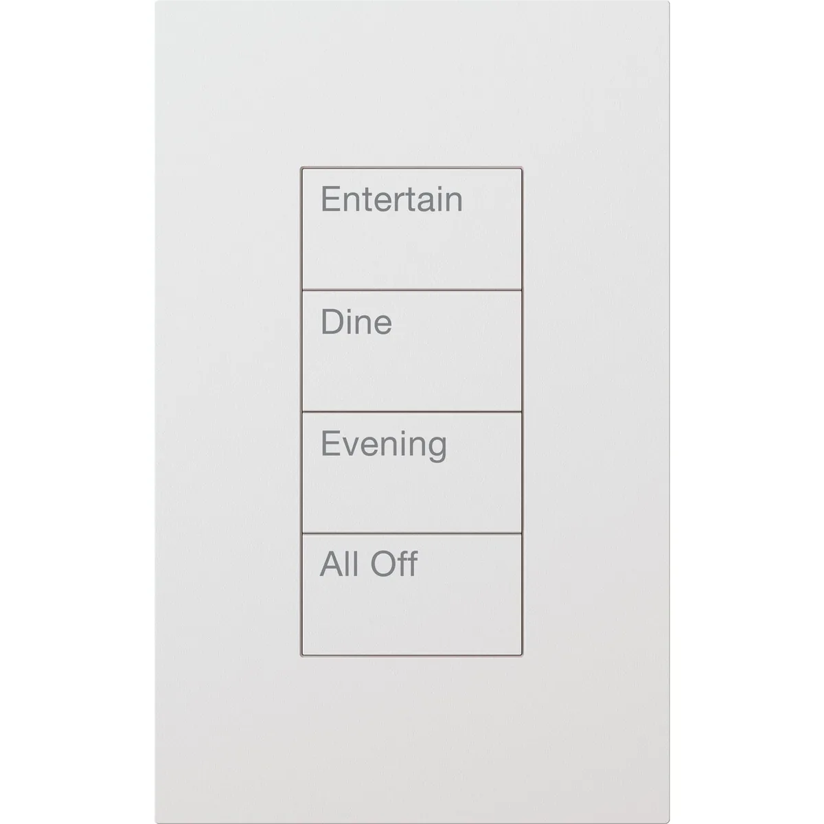Lutron HomeWorks Palladiom Rectangle Keypad