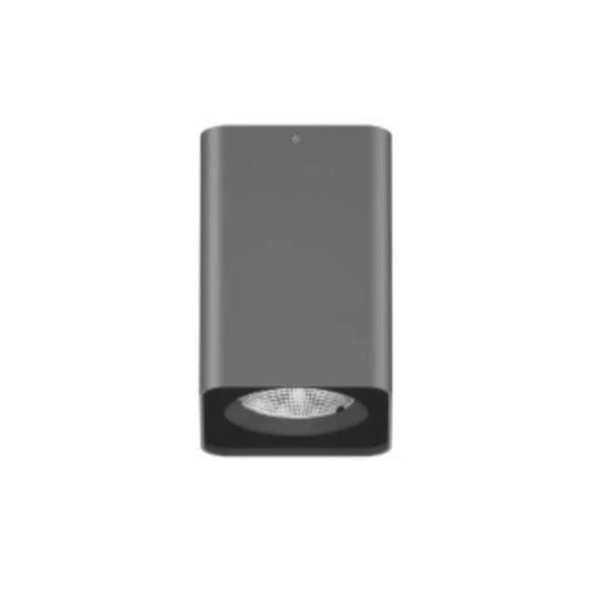 Lumibright Vaste L02049 Surface Light 15W