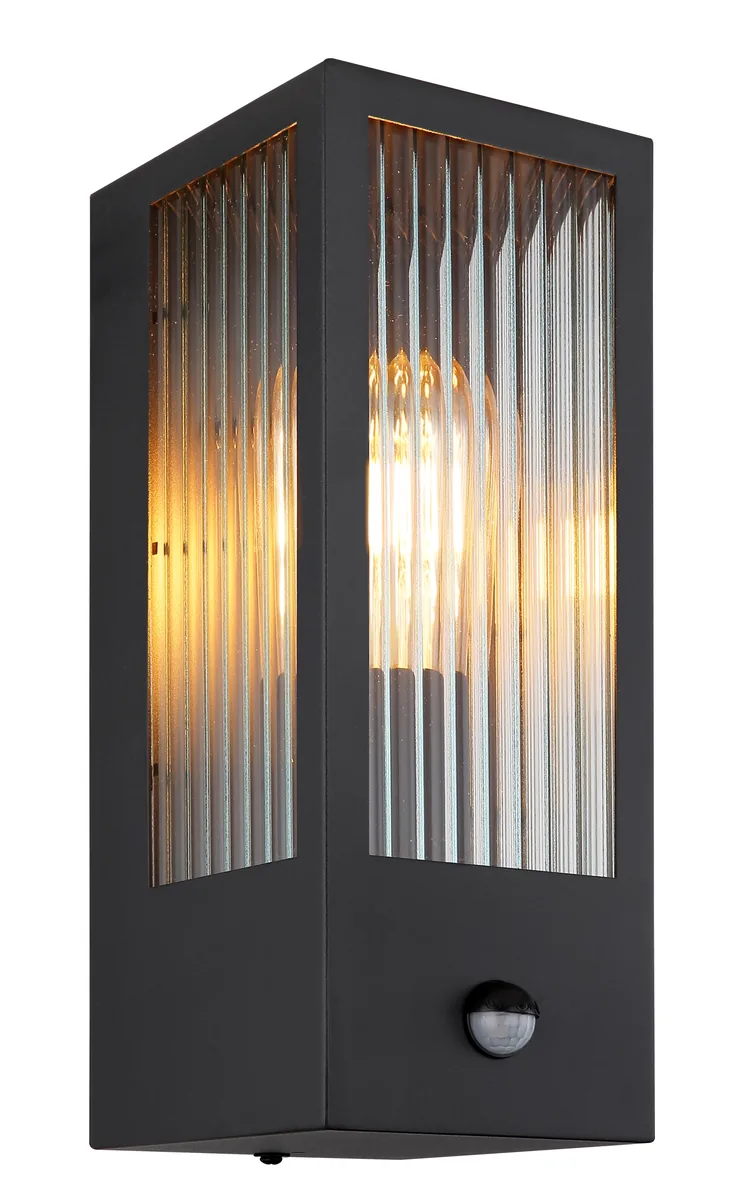 Globo GUNDULA Outdoor Light - metal black matt - glass clear