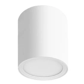 Lumibright Defay L02059 Surface Light