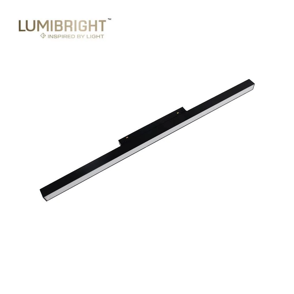 Lumibright Array-Dim LBTMG58 Track Light