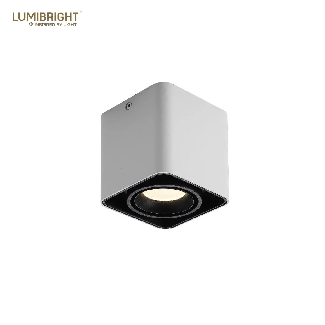 Lumibright Filon L02004 Surface Light 10W