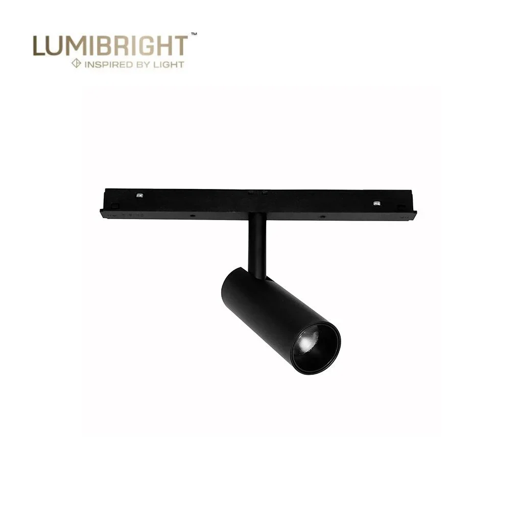 Lumibright Ilume-Dim LBTMG15 DALI Controller 7W