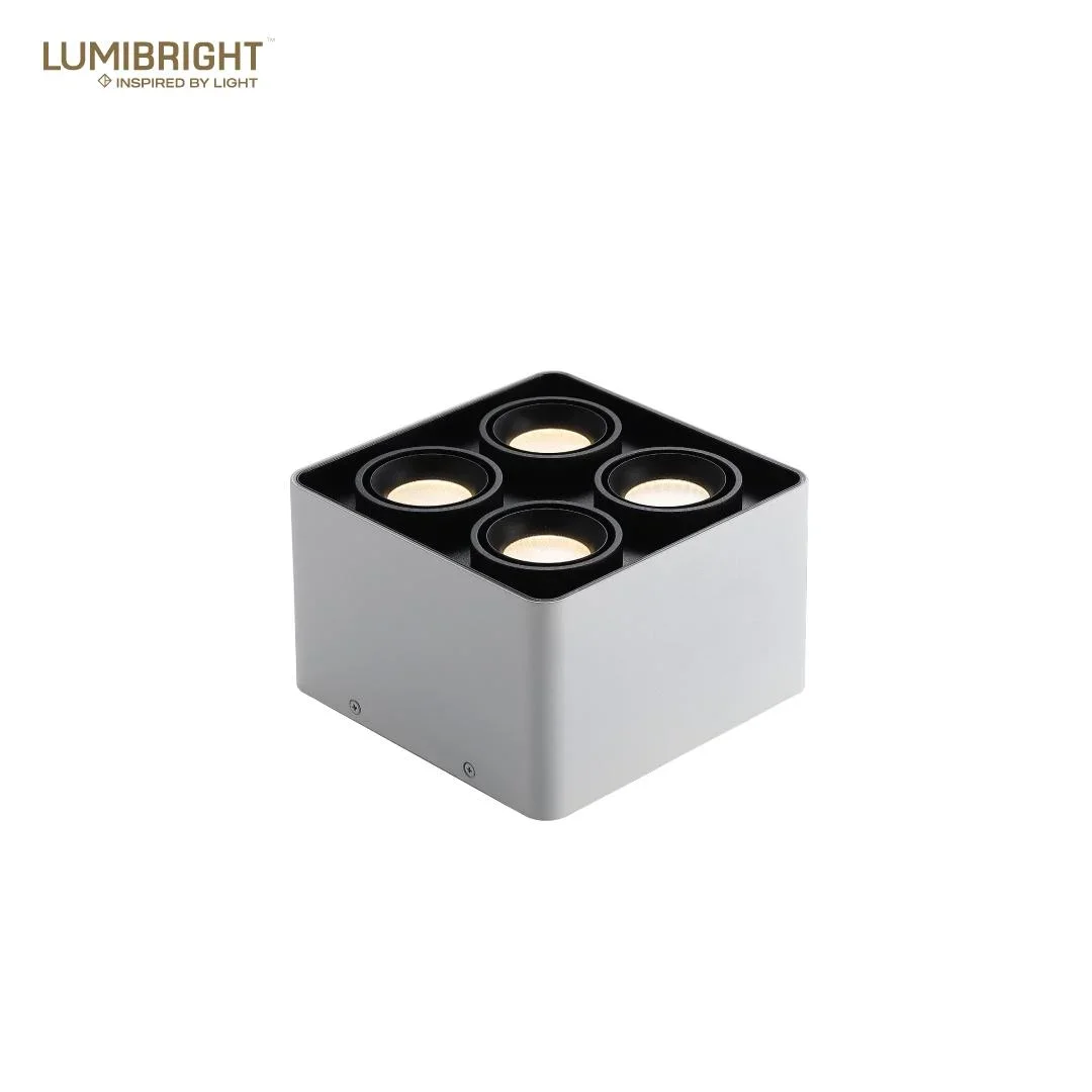 Lumibright Filon L02007 Surface Light 10W