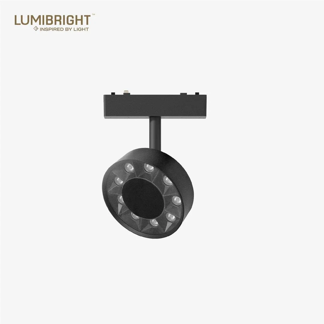 Lumibright Tazyin LBMG425 Track Light 9W