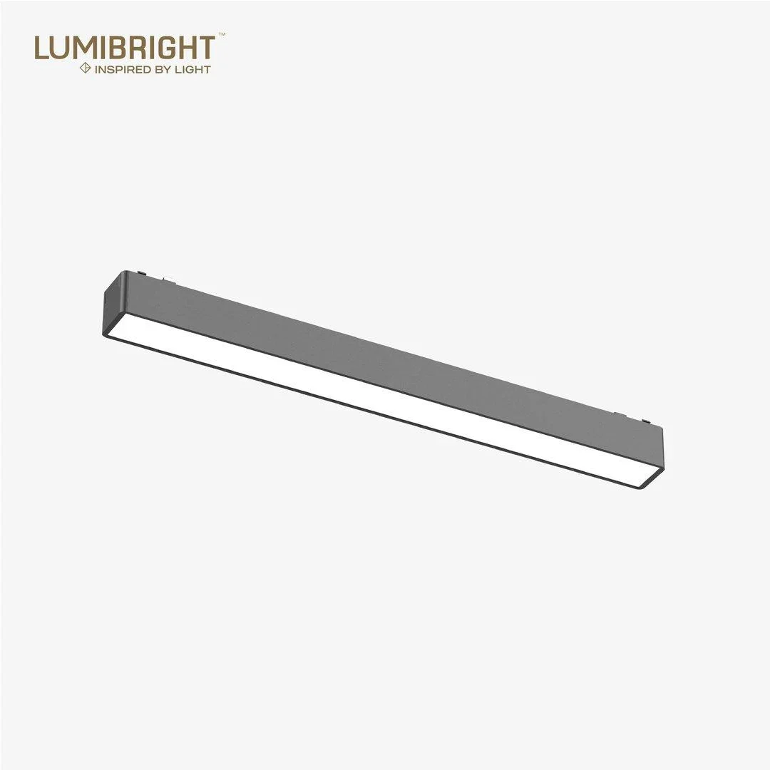 Lumibright Tazyin LBMG412 Track Light 15W