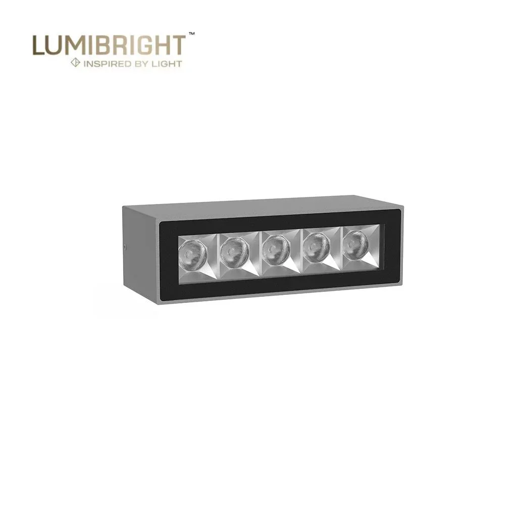 Lumibright Werder L02053 Surface Light 24W