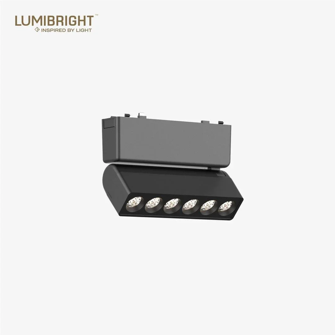 Lumibright Tazyin LBMG415 Track Light 6W