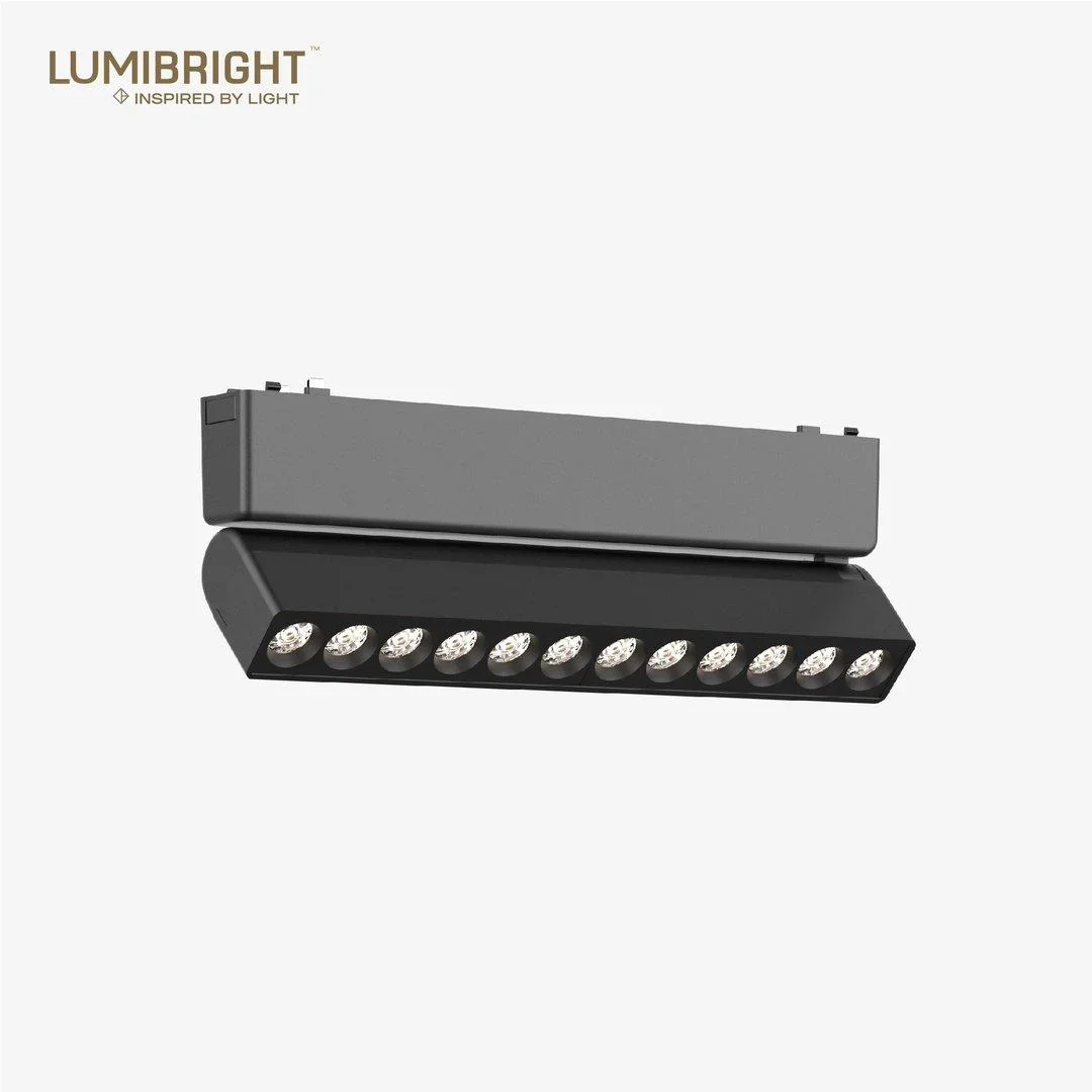 Lumibright Tazyin LBMG416 Track Light 12W