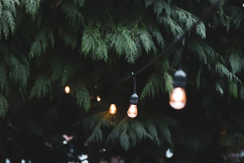 IP Ratings Explained: Choosing the Right Outdoor Lighting for Dubai