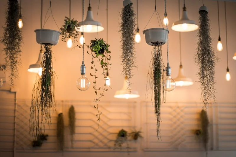 Bulbs & Lamps