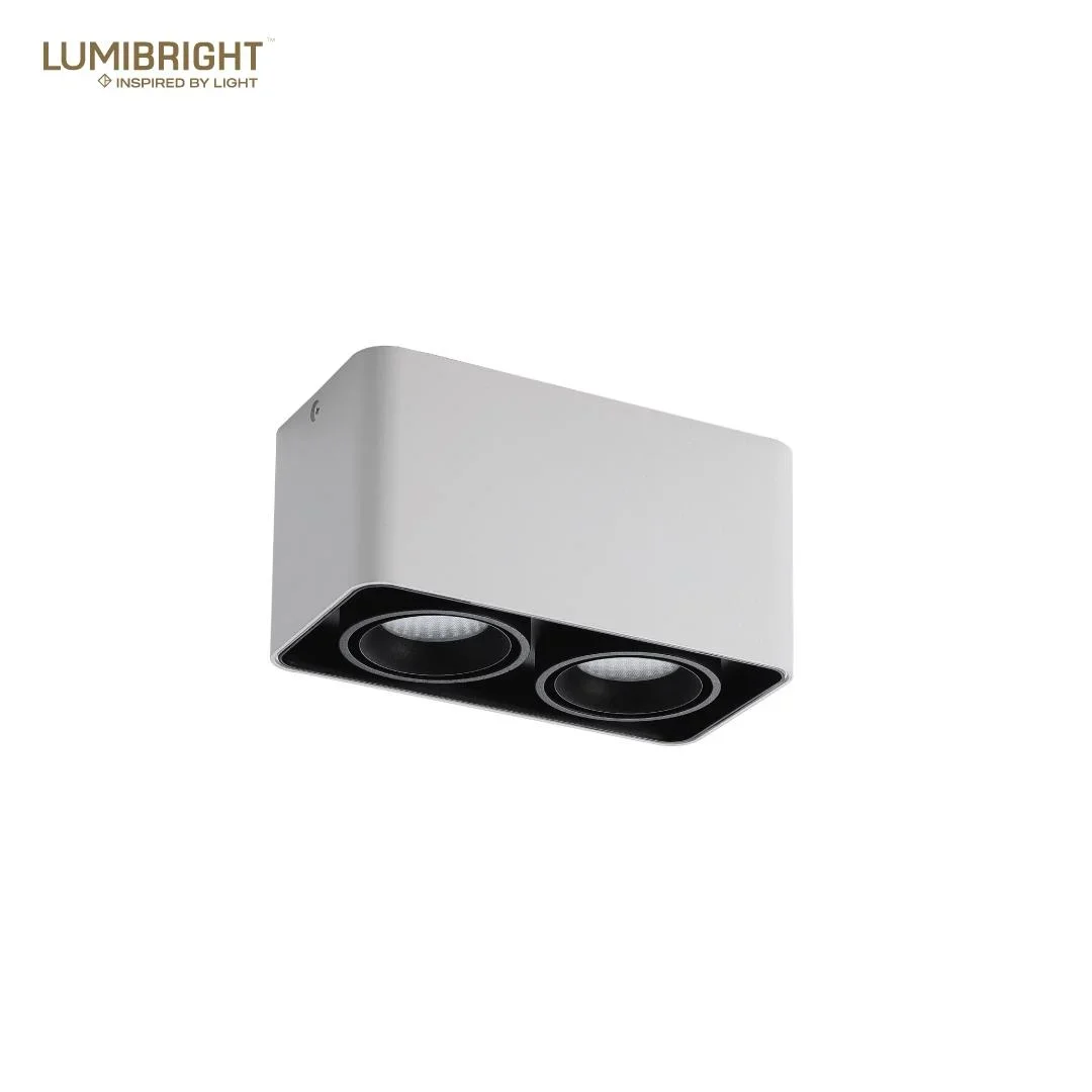 Lumibright Filon L02005 Surface Light 10W