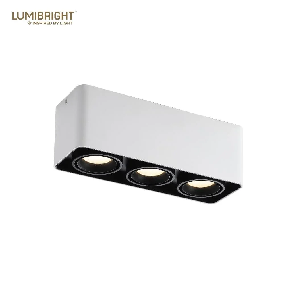 Lumibright Filon L02006 Surface Light 10W