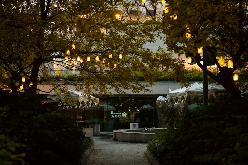 LED Lighting Solutions for Dubai's Public Parks and Family Areas