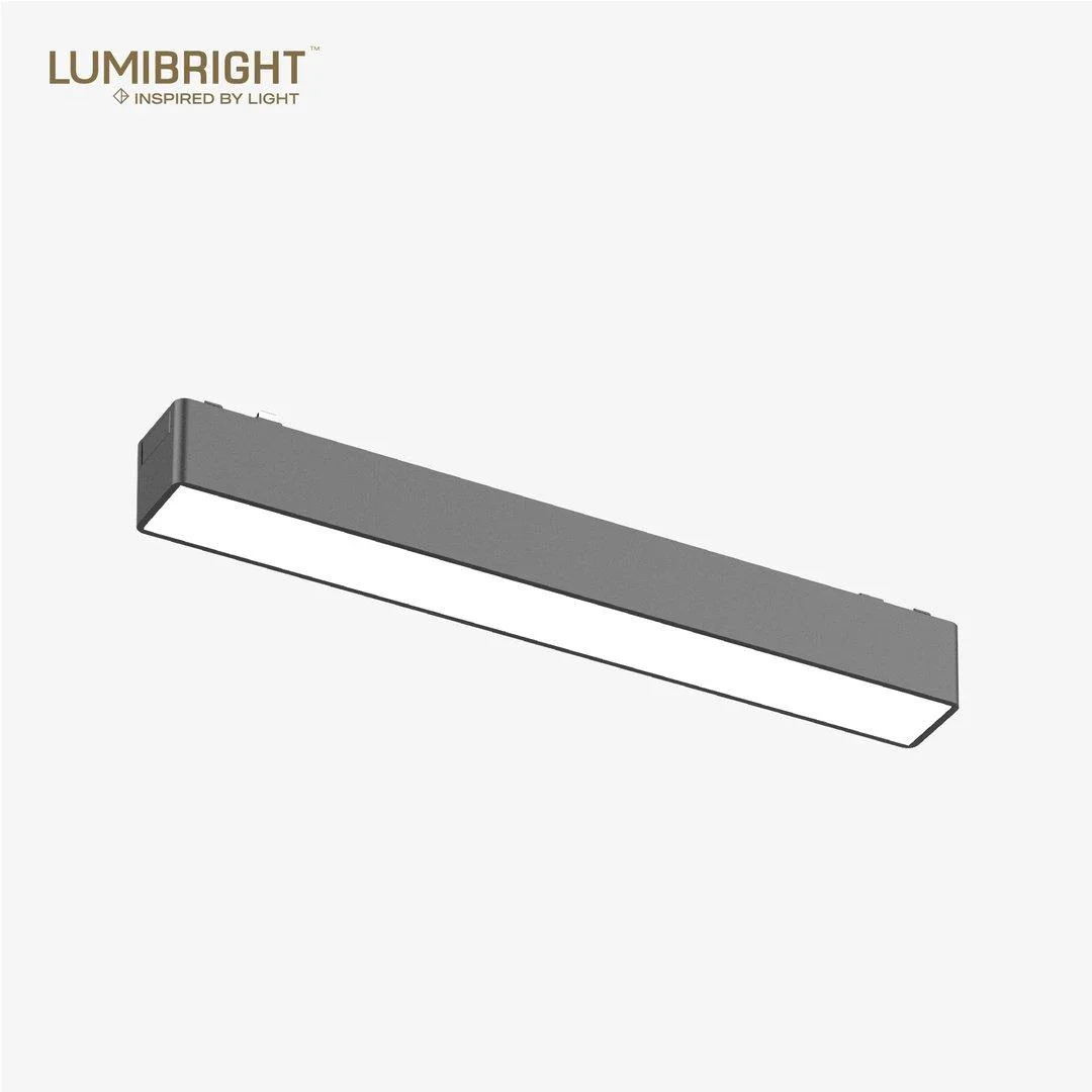Lumibright Tazyin LBMG411 Track Light 10W