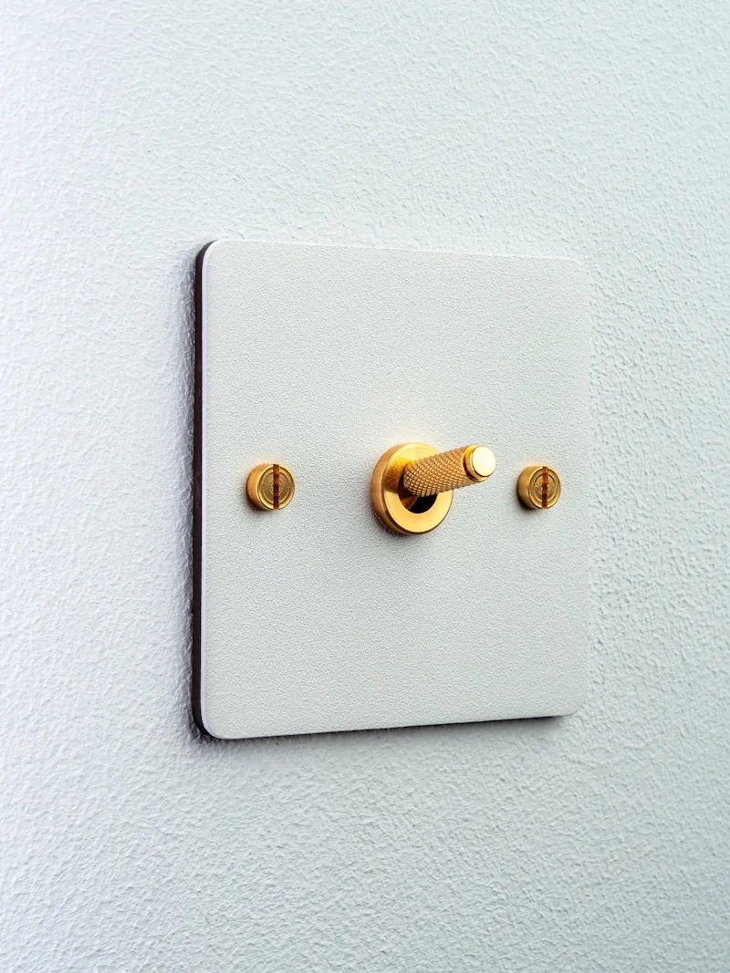 Switches & Electrical