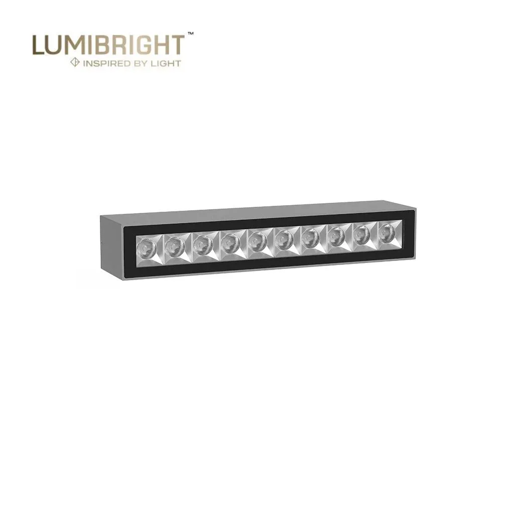 Lumibright Werder L02055 Surface Light 12W