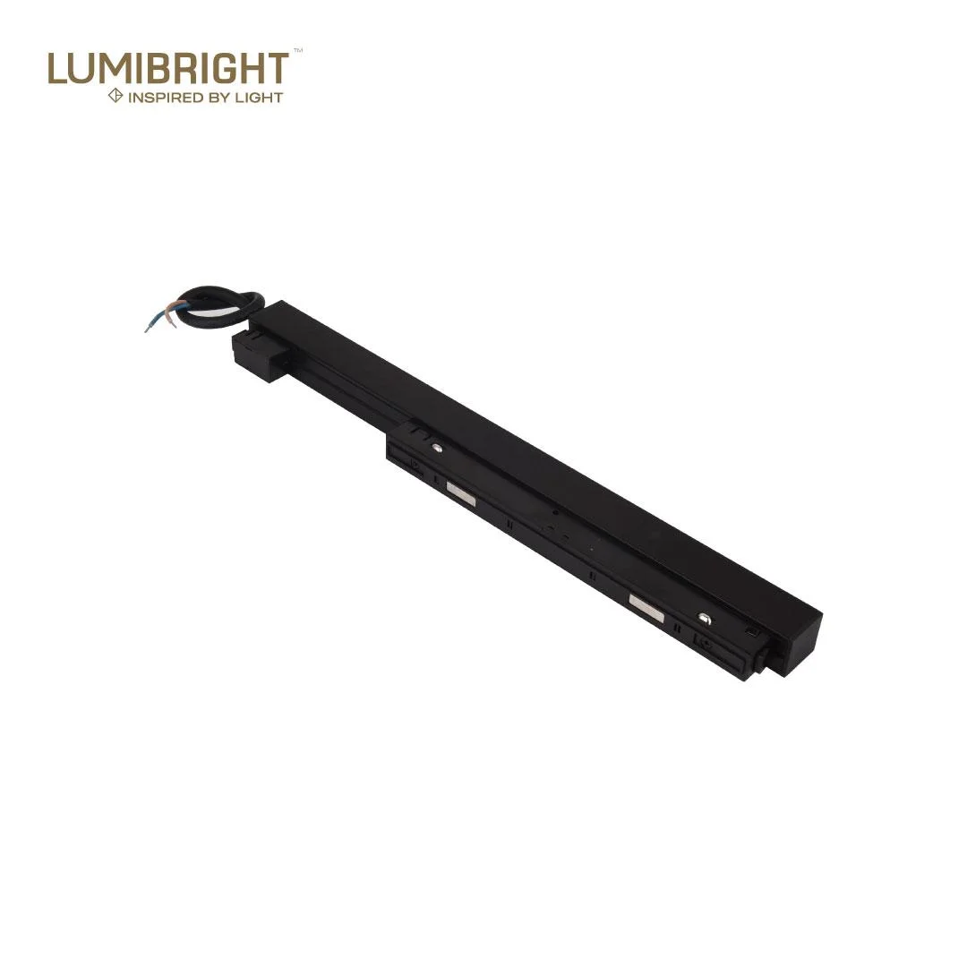 Lumibright Array Series 100W Transformer For 48VDC Magnetic Track