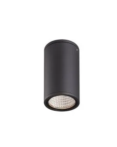 CEILING LIGHT - ALUMINUM WOOD LOOK - PLASTIC OPAL