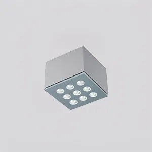LUMIBRIGHT SPACO SURFACE MOUNTING DOWN LIGHT-1x12W 3